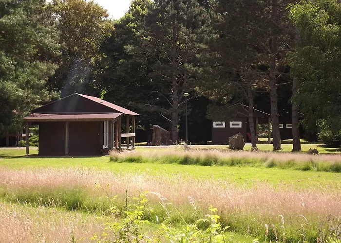 Papea Yvré-lʼÉvêque