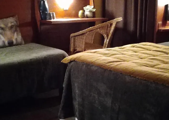 Papea 2* Yvré-lʼÉvêque