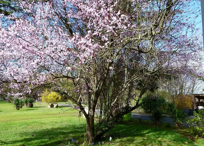 Papea 2* Yvré-lʼÉvêque